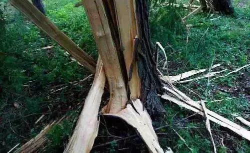 一招教你分辨老念珠,各种念珠详解