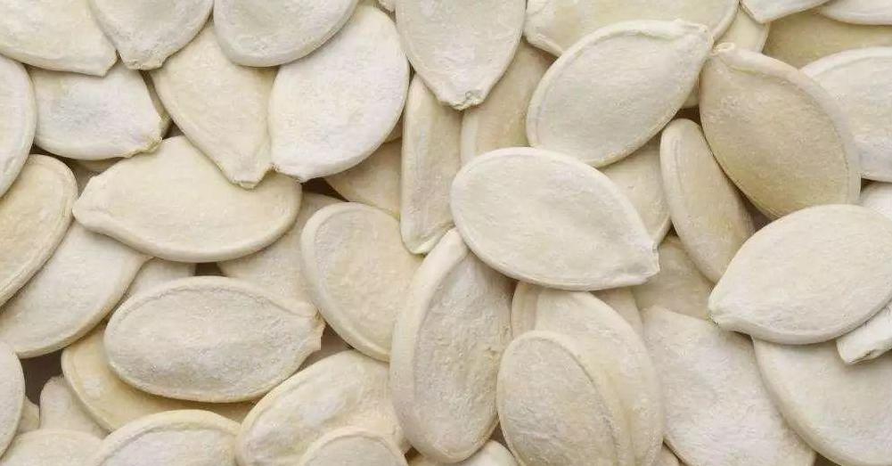 白瓜子是南瓜种子吗,南瓜种子选什么品种好吃