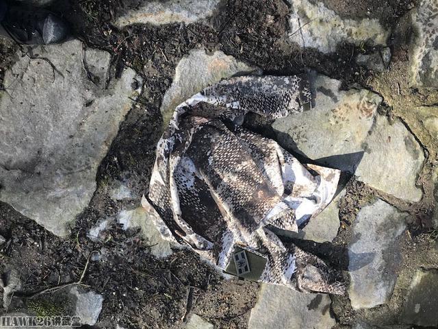 迷彩伪装效果图片,美军acu迷彩服伪装效果