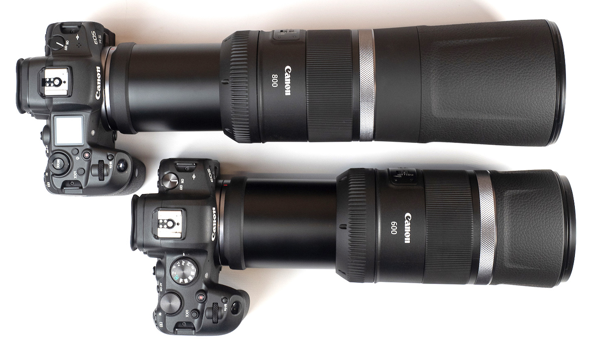 专业摄影无反相机推荐,无反相机入门推荐哪款