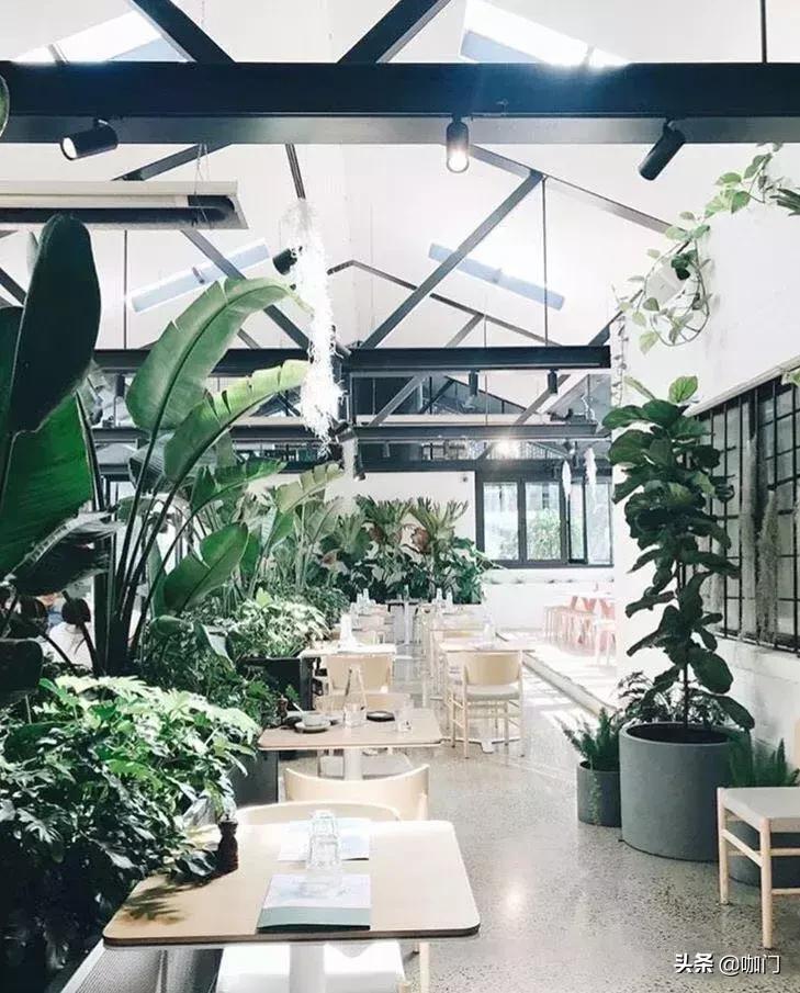 做咖啡一个月能赚多少,在澳洲做咖啡师