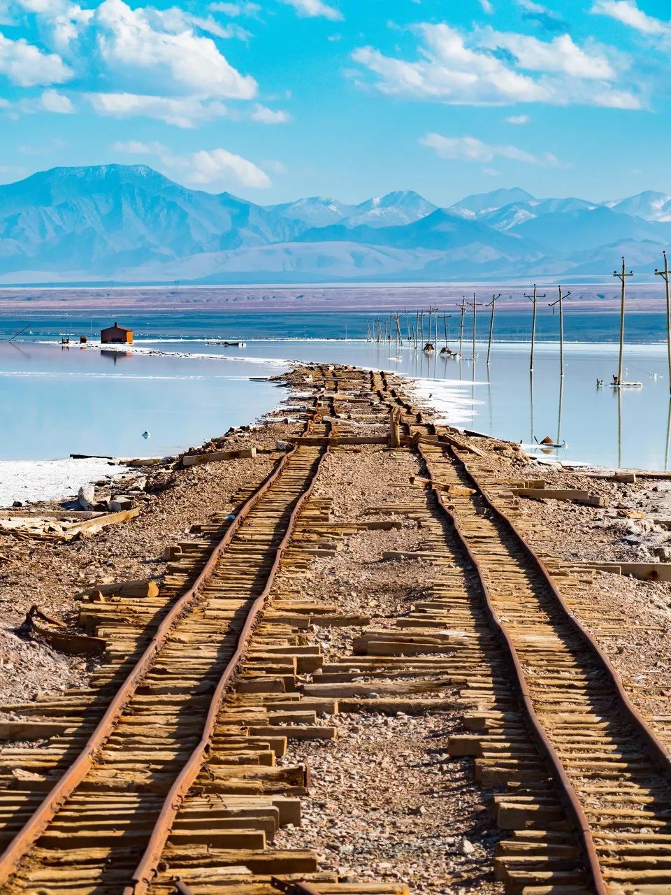七月的青海湖美翻了,带你了解七月的青海