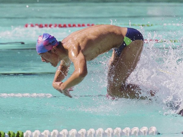 会员作品赏析,会员书法作品欣赏