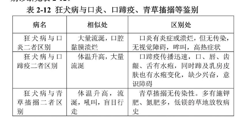 牛被疯狗咬了该怎么办,正常小狗被疯狗咬了怎么处理