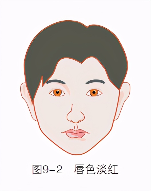 唇色异常有哪几种表现,唇色发白预示什么病症