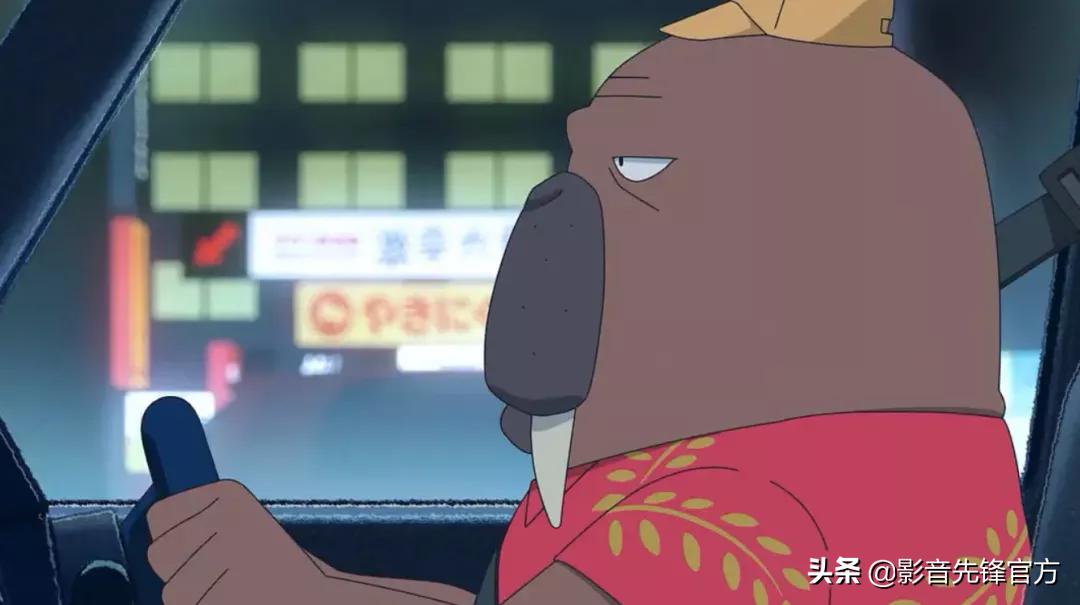 黑马新番推荐,这才是成年人该看的动漫