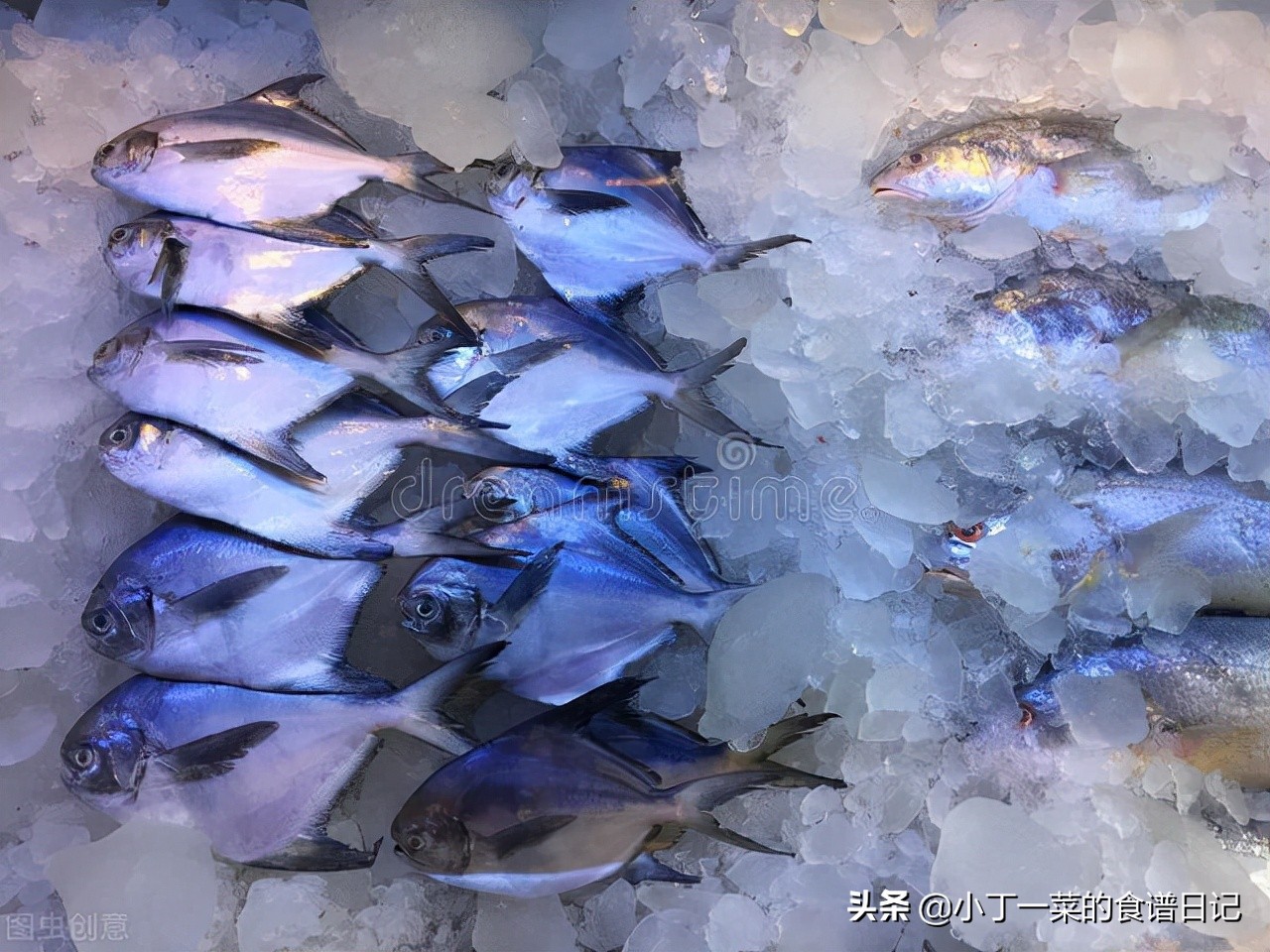 秋季适合吃的海鱼,十大最好吃又实惠的海鱼