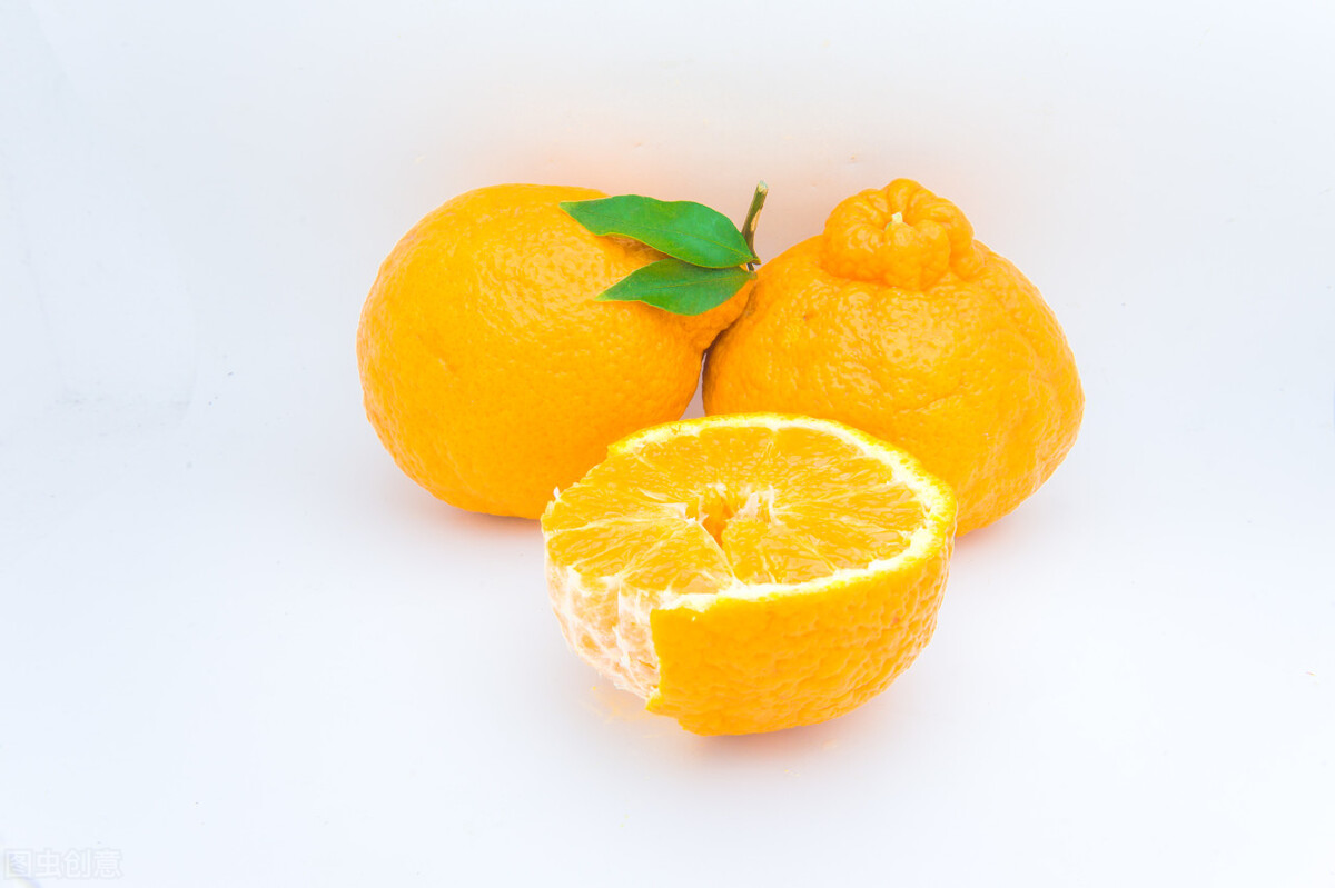 柑橘：不要成为又一个四川猕猴桃产业