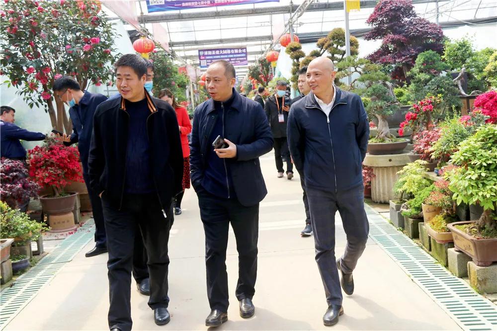 宿迁市沭阳县沭阳国际花木城,沭阳国际花木城布局