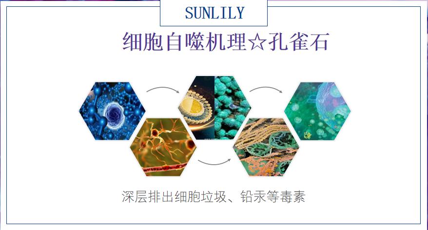 黛昂丝和圣迪妮尔芙蓉霜,中国民族品牌黛昂丝芙蓉霜