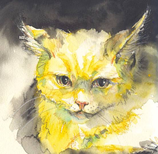 水彩绘画用的纸,水彩绘画用的画笔