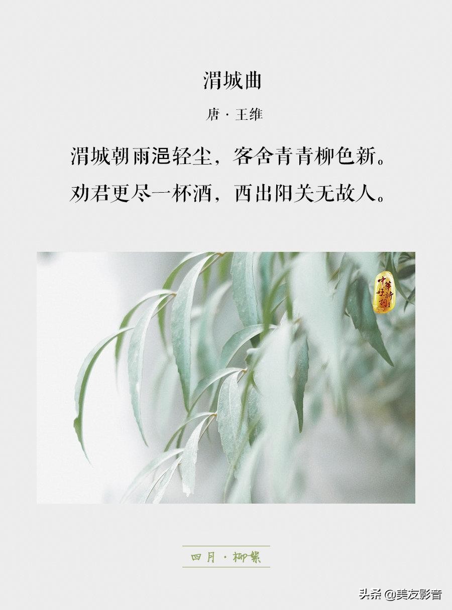 知识有哪些方面的,知识你了解了吗图片