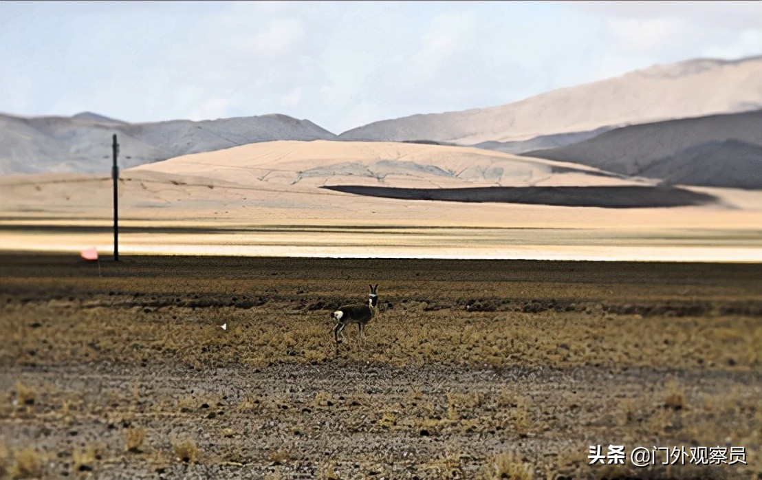 为什么到西藏一定要去阿里,不去拉萨能到那曲吗