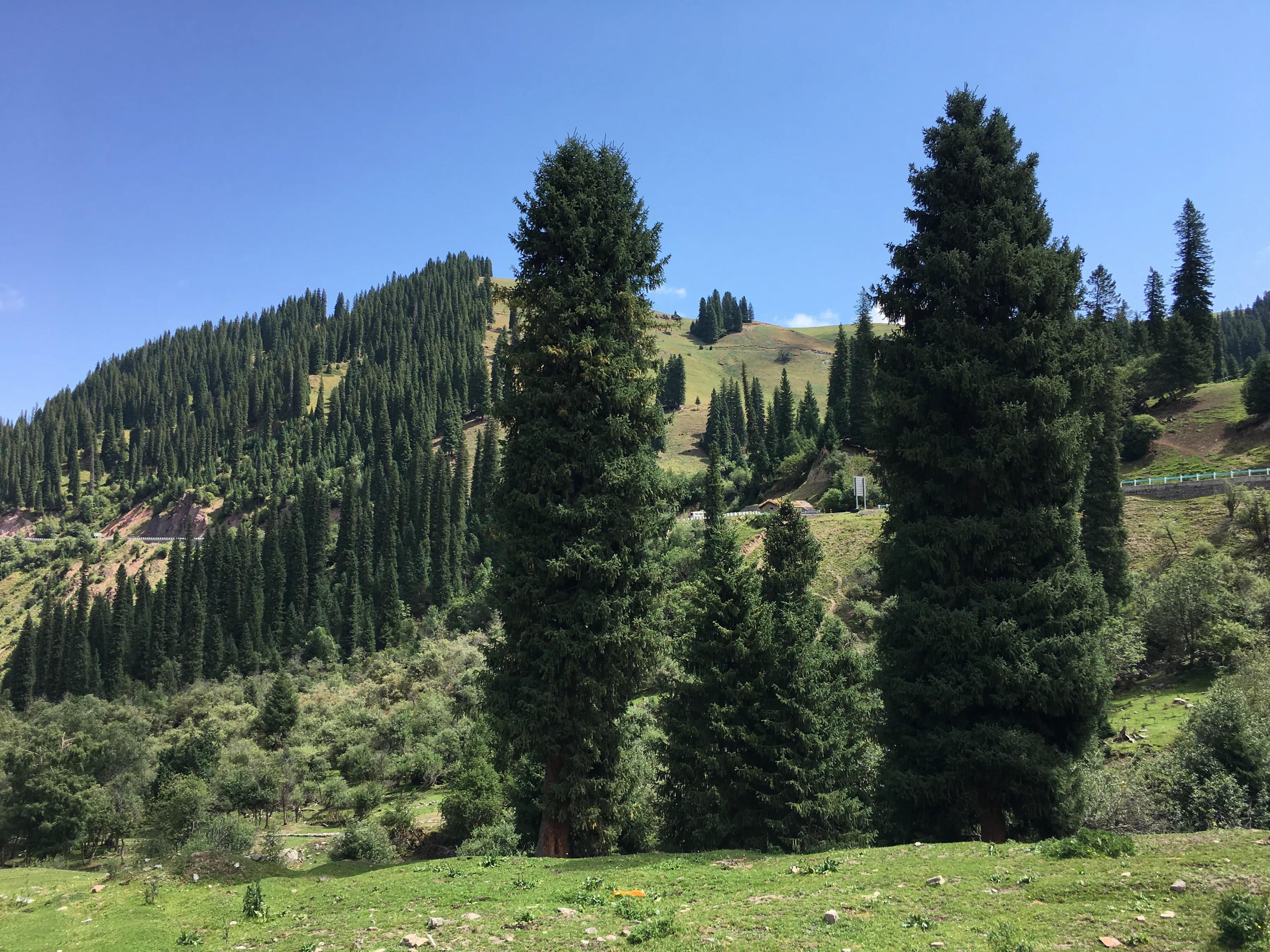 可可托海2日跟团游,可可托海阿勒泰旅游8天