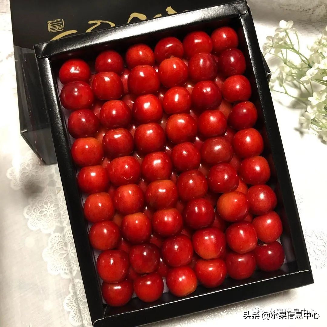 卖樱桃8块一斤十五块两斤的视频,一斤樱桃多少钱