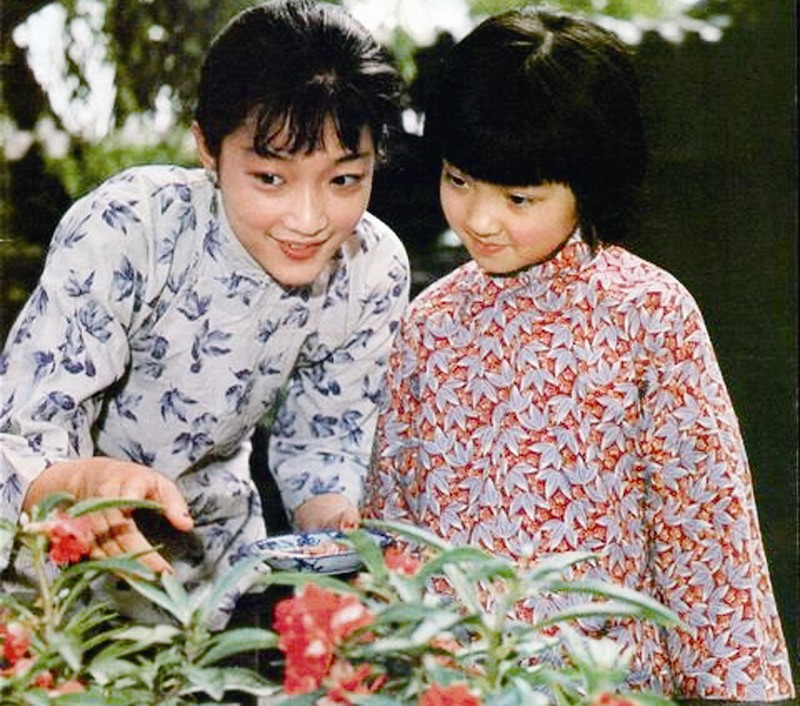 看《城南旧事》|儿童眼中北京老胡同的故事,为何能豆瓣评9.1分