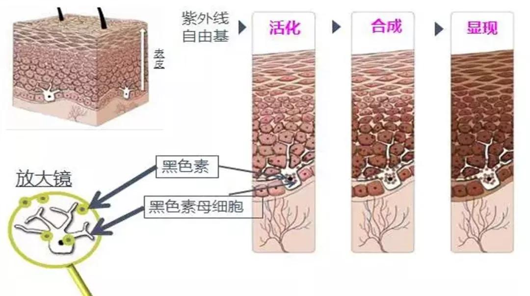 你的水乳真的是用对了吗,你的水乳在黑榜上吗