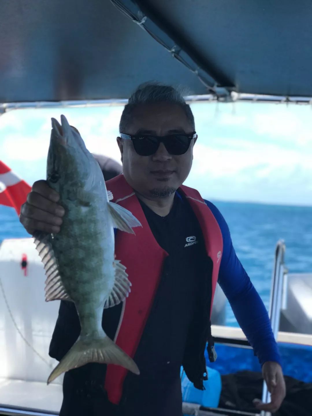 帕劳金色水母,帕劳水母旅行