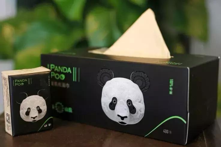 为什么大熊猫从肉开始吃竹子,大熊猫不是吃肉吗为什么吃竹子