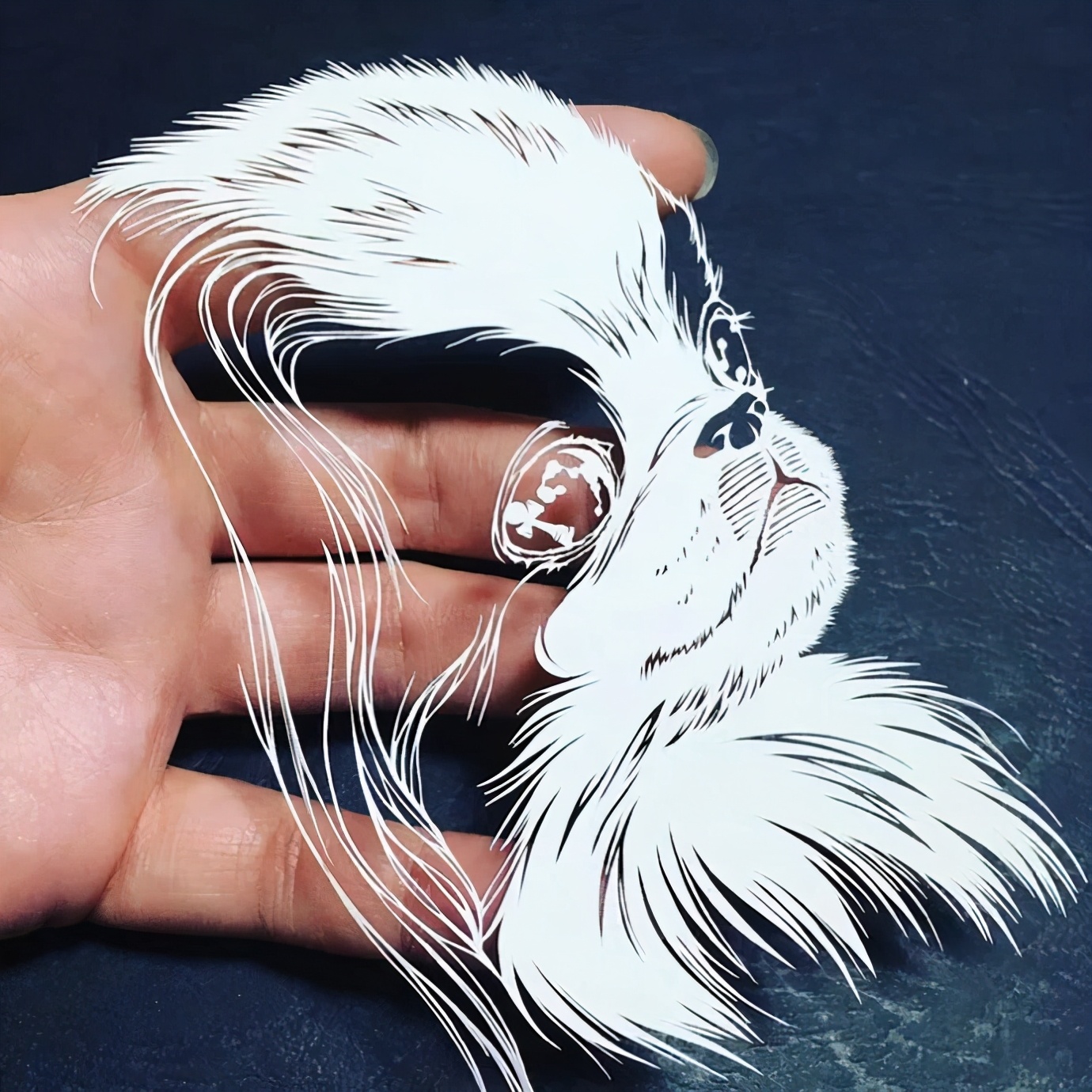 她被称为“刀王”，凭一把破刀，一张破纸，作品征服了全世界