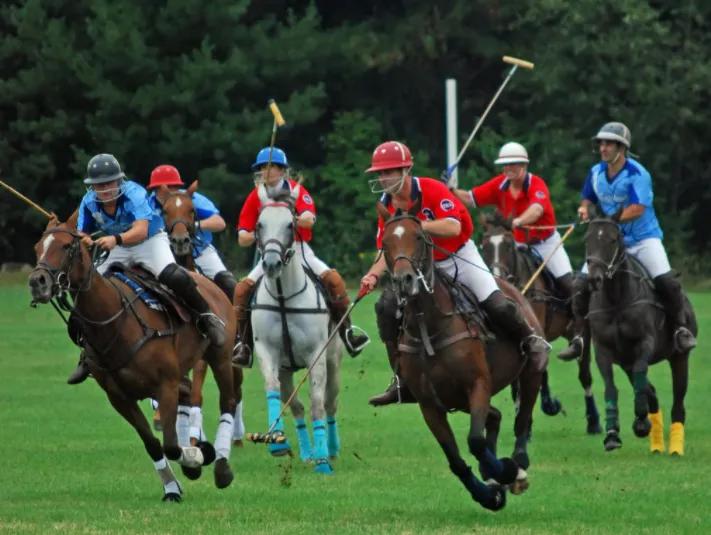 穷人没法用的素质教育，我们不需要