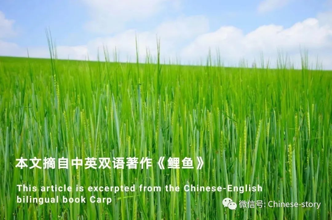 避雷针上面尖是什么金属,避雷针顶端带什么电