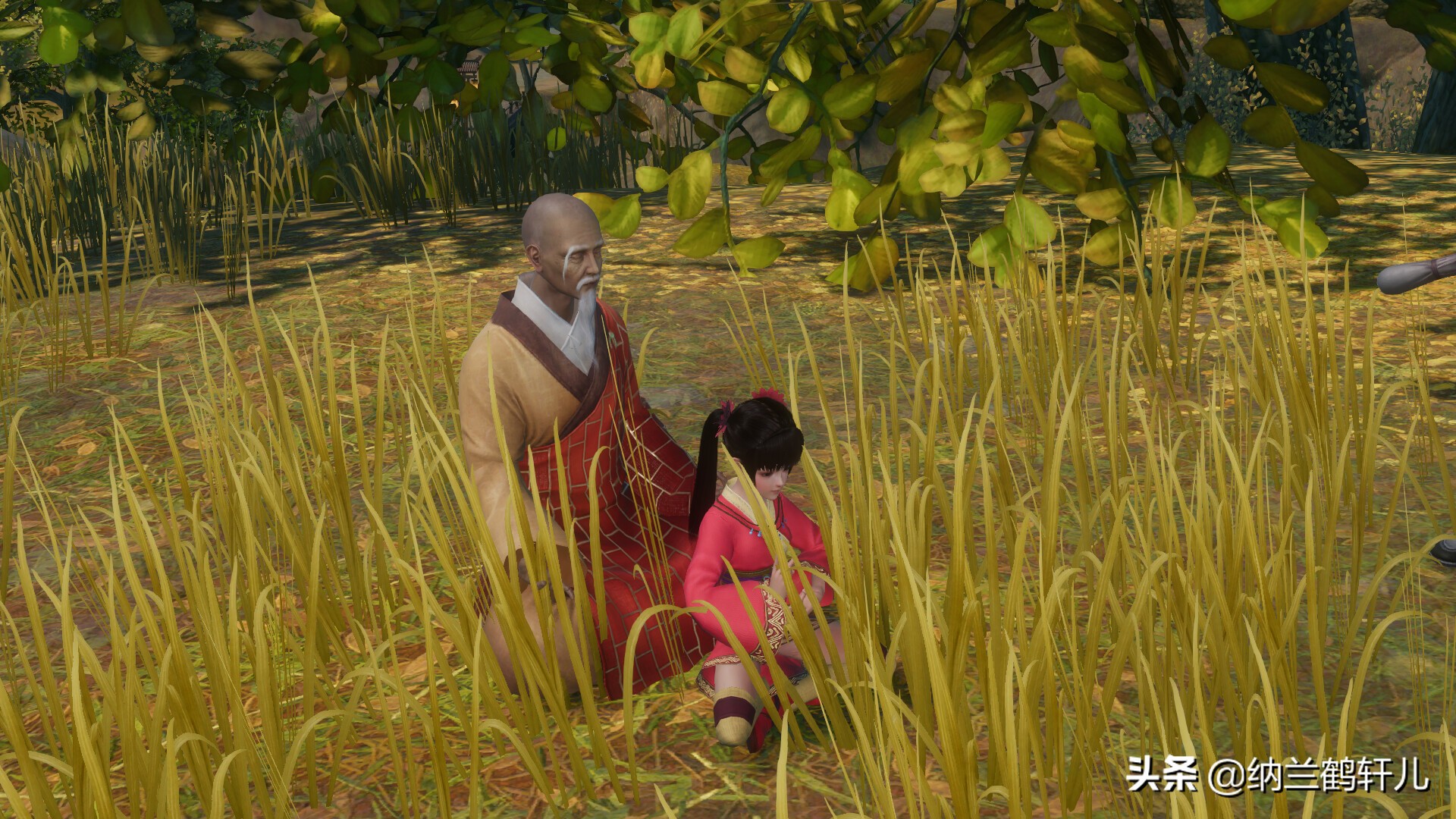 剑网三少林介绍,剑网三无界少林新技能