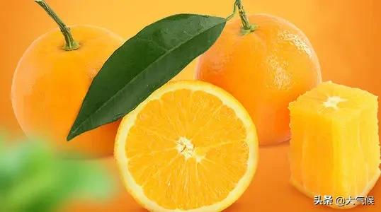 脐橙怎么看真假,怎么分辨真假脐橙