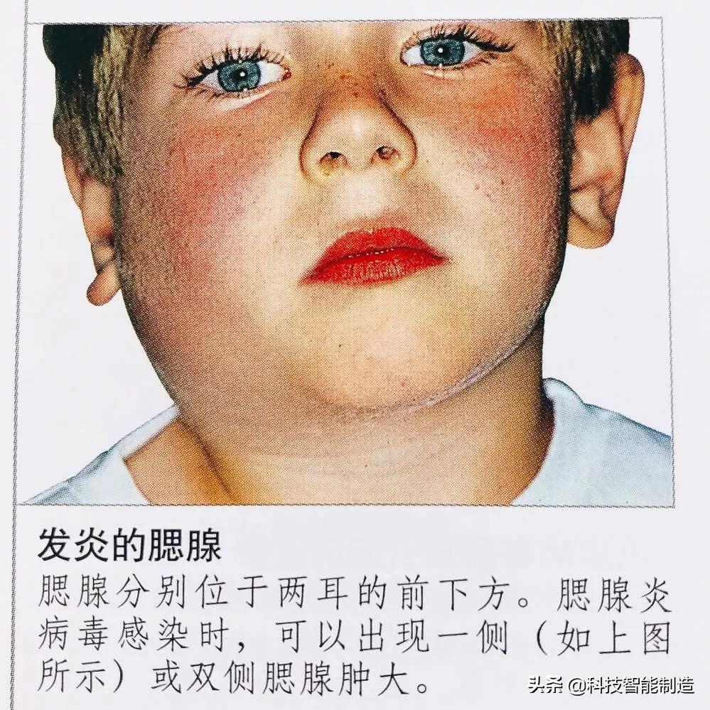 给家人宣讲健康知识记录,给父母科普健康知识小品