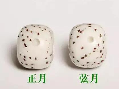 星月菩提的选购、盘玩、保养入门基础篇