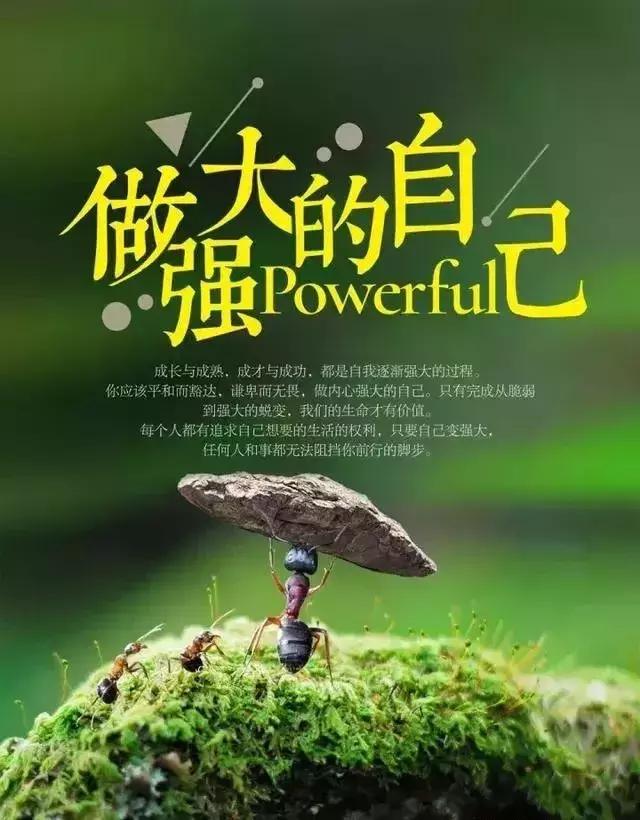 如果一无所有负债累累你该怎么办,一无所有到负债累累只需一个过程