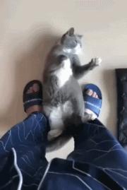 瀹夊叏鏂归潰榧犳爣,浣犲畨鍏ㄥ悧鍚屾榧犳爣