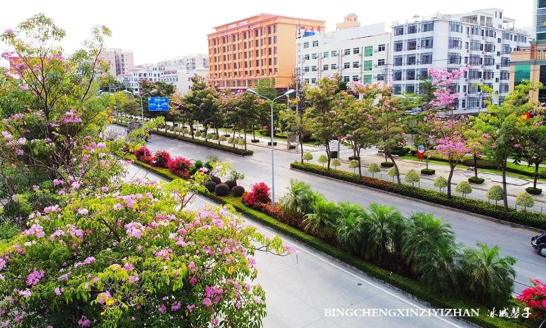 海南乐东九所康养度假村,海南乐东九所康养基地有哪些