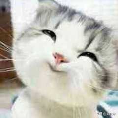 混血摩纳哥王妃,摩纳哥新王妃