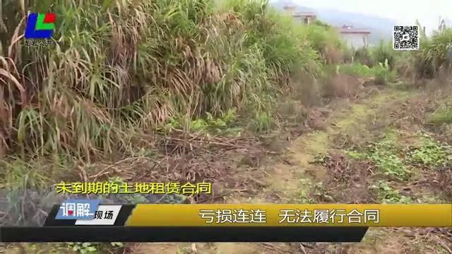 土地租赁合同到期后如何解除合同,租赁合同未到期想提前解除合同