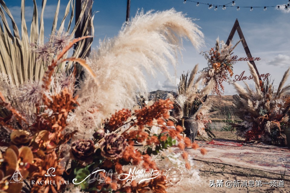 来一场沙漠之旅贺兰山,在沙漠举办婚礼