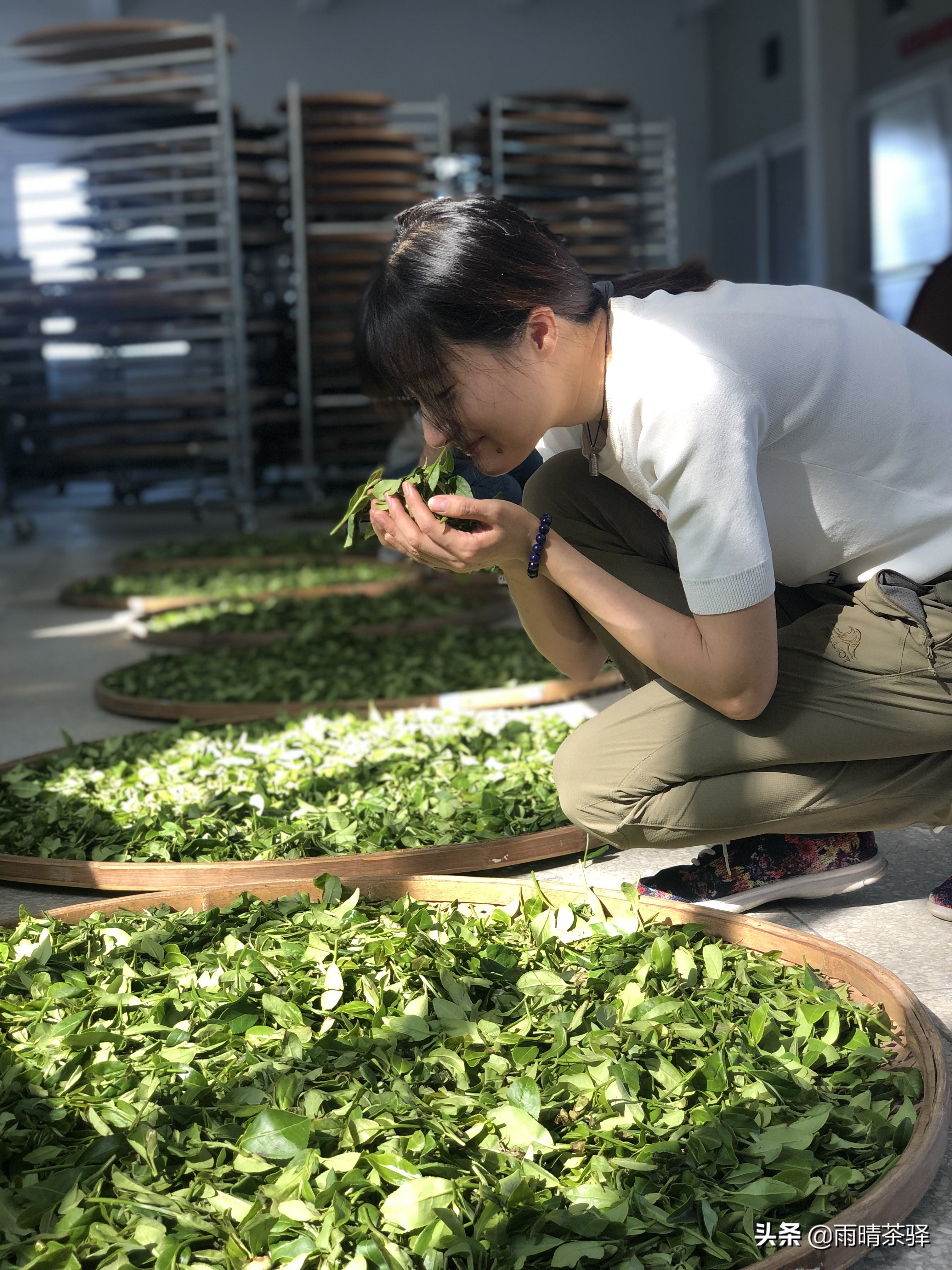 茶叶发酵和酿酒的区别,什么是茶叶发酵程度