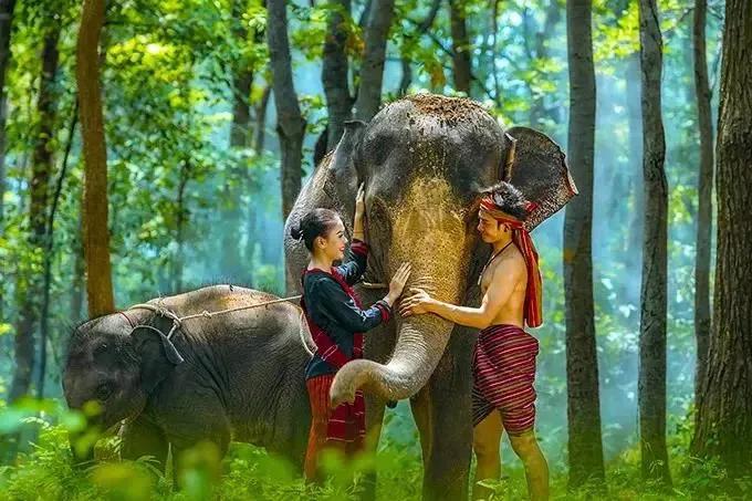 西双版纳泼水节是怎样的来历,西双版纳泼水节的由来和传说