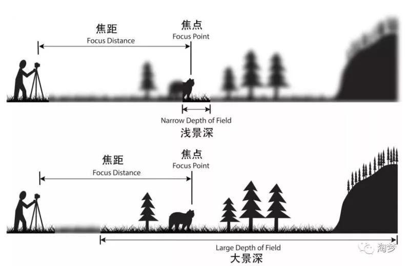 为还是摄影小白的您,每天分享一个摄影小知识,5景深