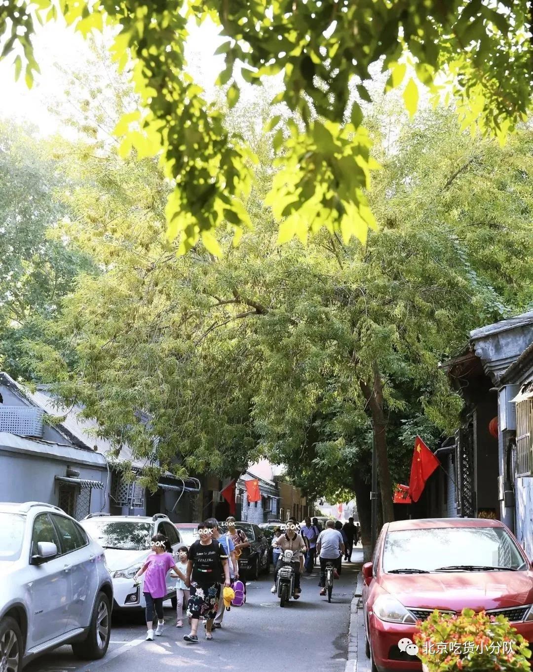 北京胡同一日游这8条必逛,北京胡同游攻略地图