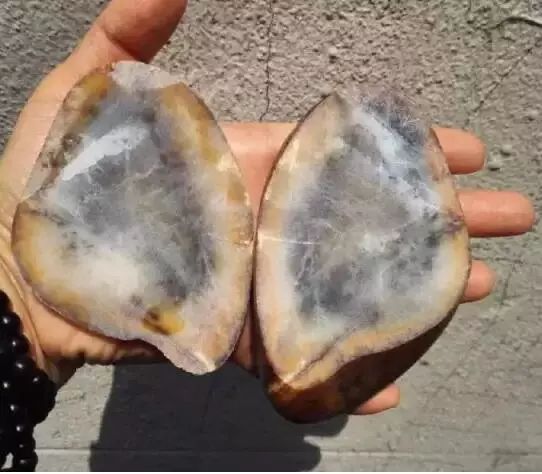 把玩和田玉和玻璃的区别,把玩和田玉生肖