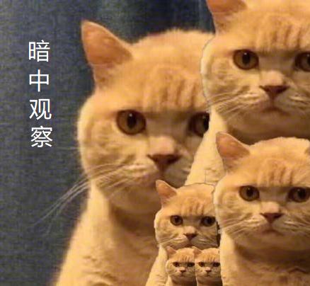 女子睡觉突然被打了一下,女子睡觉感觉被人打了