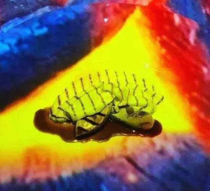 广州最贵的顶级餐厅,中国最贵餐厅排行榜