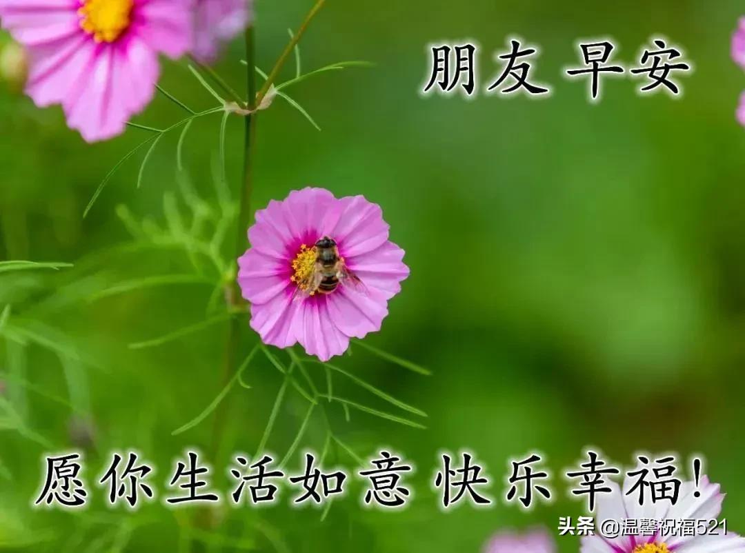 发条短信把你叫,催你早起对镜笑,营养早餐早备好,亲爱的,早安