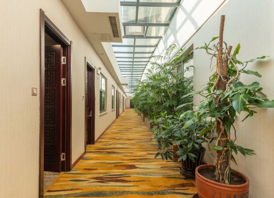 阜新民宿推荐,阜新民宿一室一厅