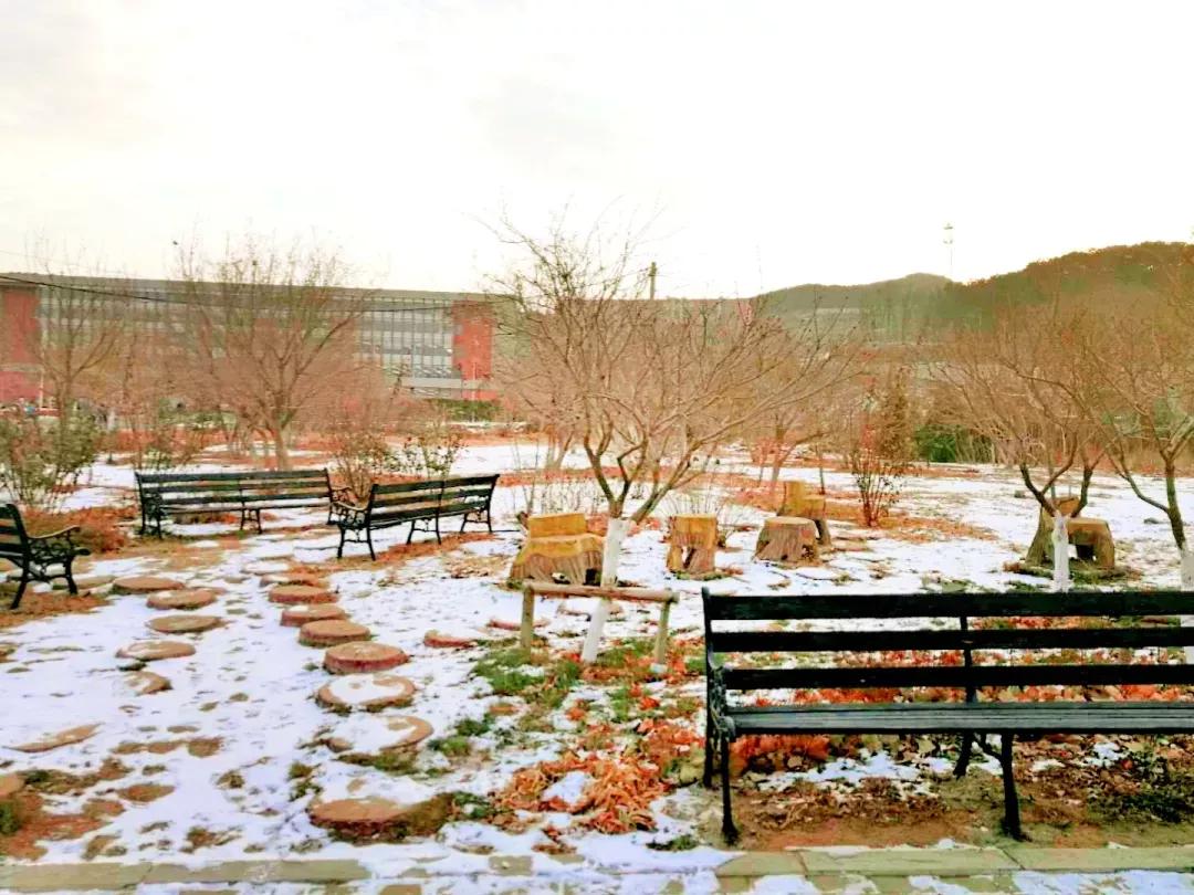 辽宁师范大学辽宁省一流课程,辽宁省普通高等院校