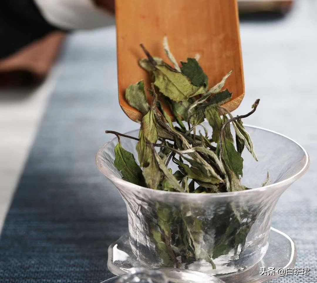 酒后喝茶保健常识,酒后喝茶最简单的解酒