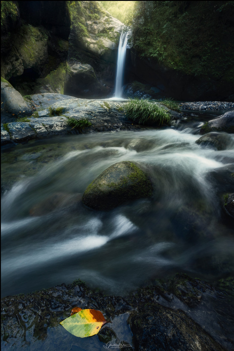 面对所有的图片,面对各种事情图片