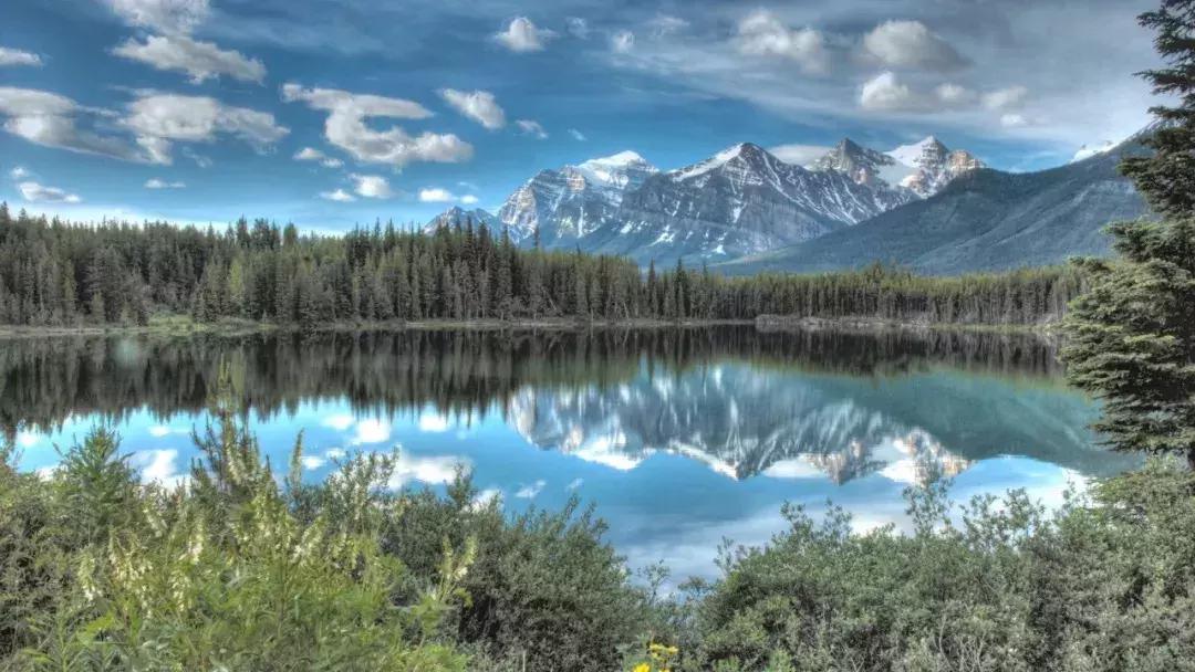 一匹马的故事，带你认识这个宇宙的真相！