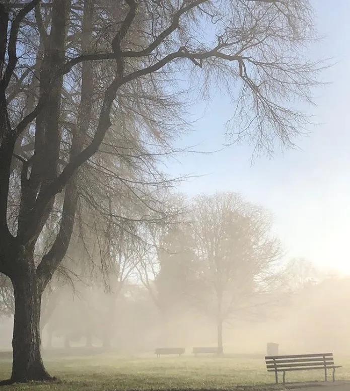 早晨下大雾山里看不清路课文插图,早晨大雾图片
